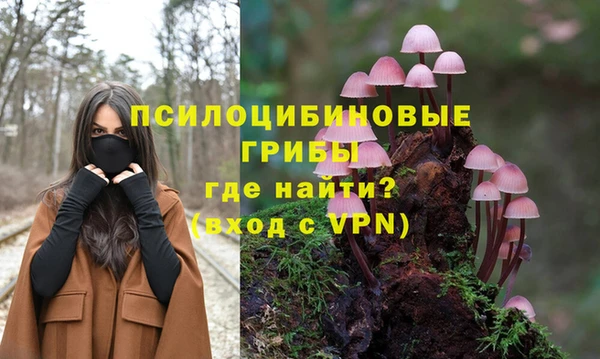 СК Кинешма