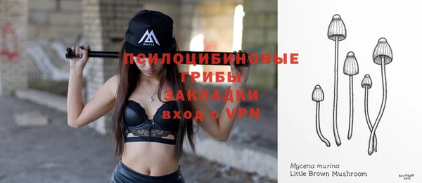 прущий лед Карпинск