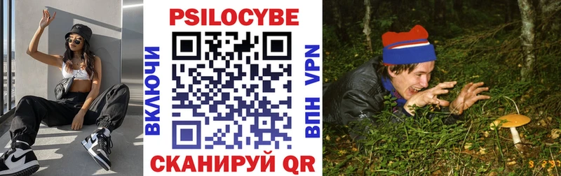 наркотики Калуга Псилоцибиновые грибы мицелий