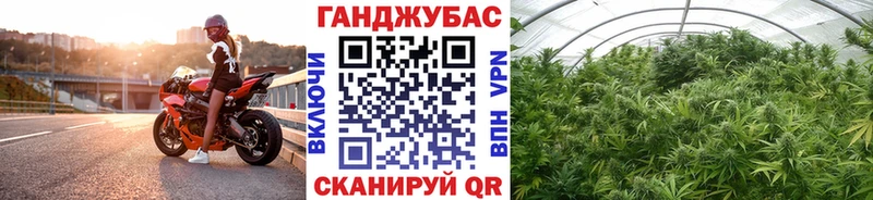 ссылка на мегу как войти Калуга Бошки марихуана MAZAR